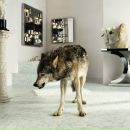 Фотография Редкобайкина Романа