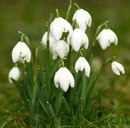 Юлічка Портей фотография #35 (источник - https://vk.com/id153904850)