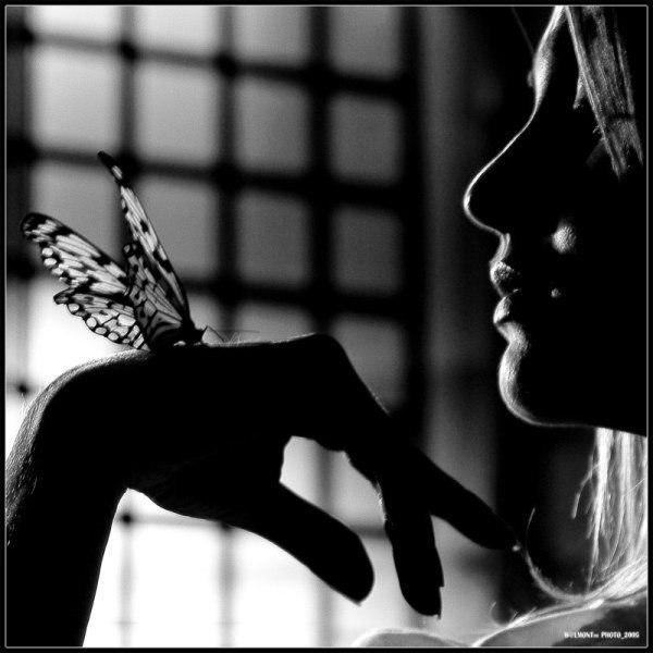 №10, Катерина Розенкова №10, Катерина Розенкова