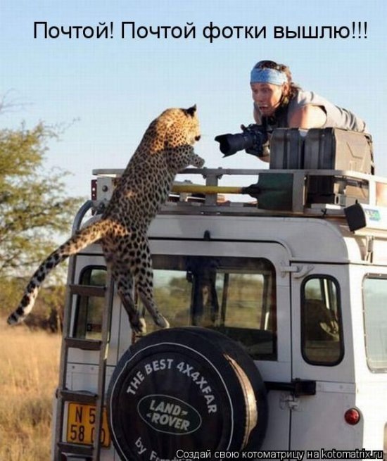 Семён Шейда фотография #4