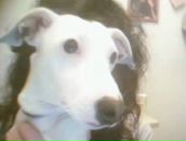 Фотография Lovepinkpandaviolett Lovewinnielalathepooh