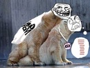 Андрій Грицюк фотография #22 (источник - https://vk.com/id135237961)
