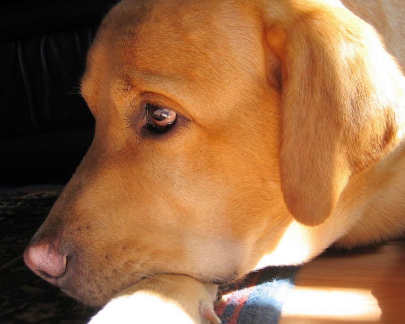 Павел Киселёв фотография #36