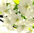 Юрій Гнатенко фотография #32 (источник - https://vk.com/id157707344)