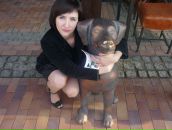 Фотография  