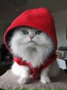 Фотография Филимоновой Елены