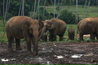 Даша Дашина фотография #15 (источник - https://vk.com/id2891457)