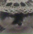 Марічка Ткач фотография #32 (источник - https://vk.com/id85134358)