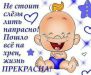  фотография #28
