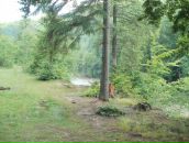 Міша Винників фотография #28 (источник - https://vk.com/id59281747)