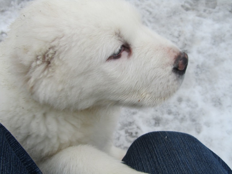 Василий Тихонов фотография #35