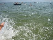 Нютік Мінутік фотография #4 (источник - https://vk.com/id56108921)