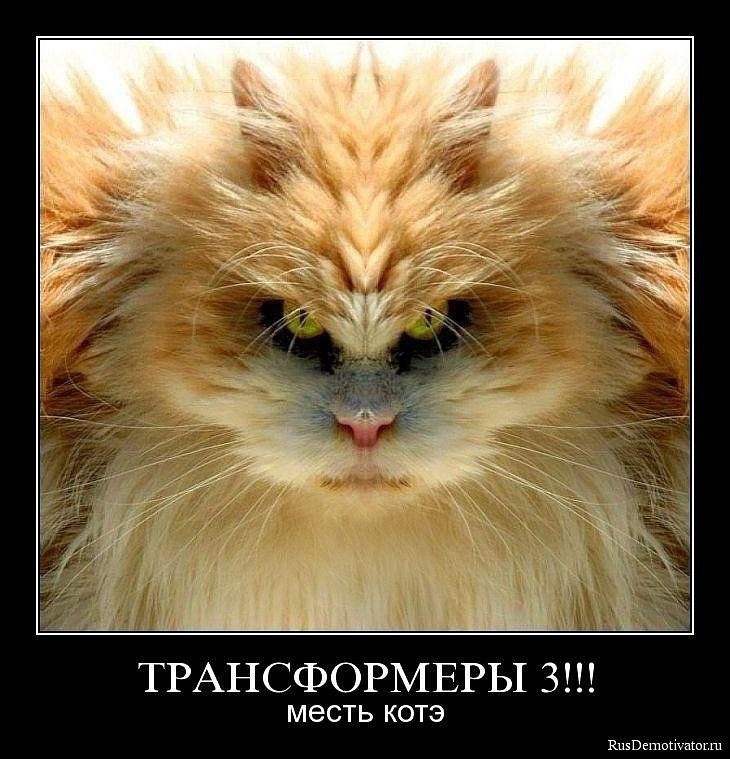 Илья Стафеев фотография #20