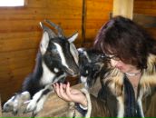 Фотография Руденко Ирины