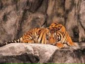 Фотография Павлова Алексея