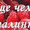 Ірина Занюк фотография #10 (источник - https://vk.com/id144608453)