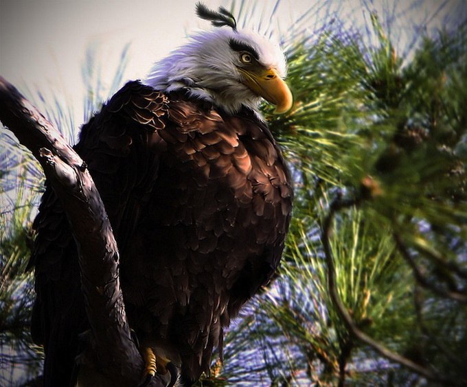 Next Level фотография #31