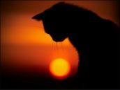 Фотография Комаровой Карины