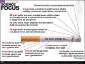 Розалія Ідяртов фотография #49 (источник - https://vk.com/id14299634)