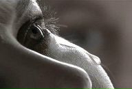 Тетяна Тіщенко фотография #25 (источник - https://vk.com/id14965312)