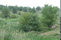Алексей Богучарский фотография #40 (источник - https://vk.com/id3537724)