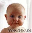 Фотография Иванова Сергея