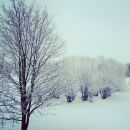 Ljoliii Gorislavskaja фотография #43 (источник - https://vk.com/id69297)