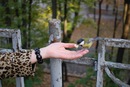 Олічка Грищук фотография #31 (источник - https://vk.com/id123996087)