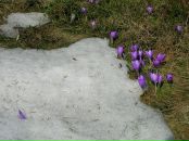 Андрій Арендарчук фотография #48 (источник - https://vk.com/id72153436)