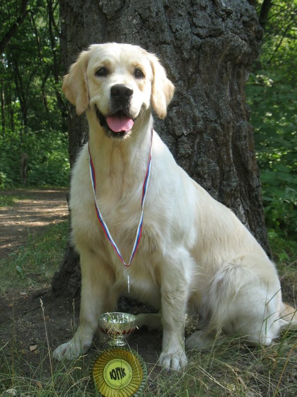 Анастасия Розанова фотография #35