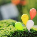 Фотография Politova Vitaliya