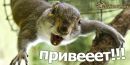 Віталій Волинець фотография #29 (источник - https://vk.com/id28778843)