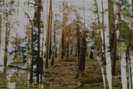 Фотография Агафоновой Саши