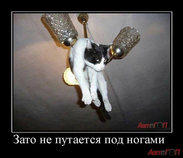 Денис Боднар фотография #7