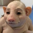 Олексій Даценко фотография #14 (источник - https://vk.com/id70613208)