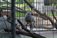 Оленка Неліпа фотография #39 (источник - https://vk.com/id18178915)