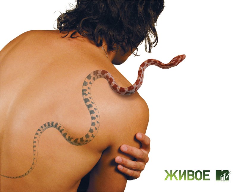 Тимур Абибулаев фотография #24