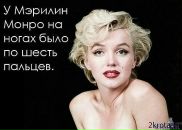 Андрій Мазепа фотография #46 (источник - https://vk.com/id89437312)