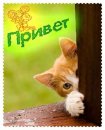 Sjaad Kadam фотография #43 (источник - https://vk.com/id24803331)