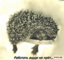 Катя Казнієнко фотография #48 (источник - https://vk.com/id13231658)