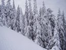 Валерій Матеящук фотография #31 (источник - https://vk.com/id28548420)