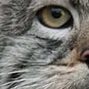 Виктор Арфеев фотография #44 (источник - https://vk.com/id38807040)