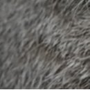 Виктор Арфеев фотография #37 (источник - https://vk.com/id38807040)