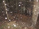 Олександр Решетнік фотография #43 (источник - https://vk.com/id11353361)