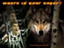 Павел Недвед фотография #35 (источник - https://vk.com/id12159589)
