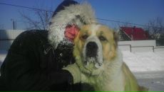 Фотография Pantukhov Alex