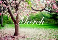 Фотография Климович Алёны