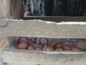 Дмитрий Царев фотография #20 (источник - https://vk.com/id2889691)