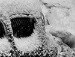 Олексій Акулін фотография #45 (источник - https://vk.com/id64179146)