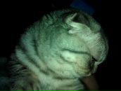 Фотография Лукашенко Дмитрия